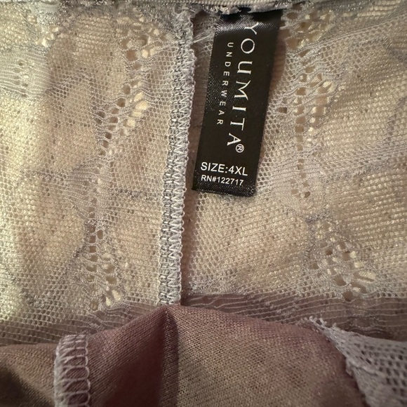 NWT Two Pair of Ladies Panties size 2x - Picture 8 of 11